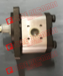 Alternative view of 2.4529.430.0/10 POMPA IDRAULICA